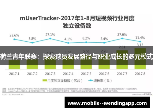 荷兰青年联赛：探索球员发展路径与职业成长的多元模式