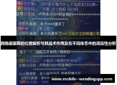 西格诺里踢的位置解析与其战术作用及在不同体系中的适应性分析 西格诺里踢的位置解析与其战术作用及在不同体系中的适应性分析