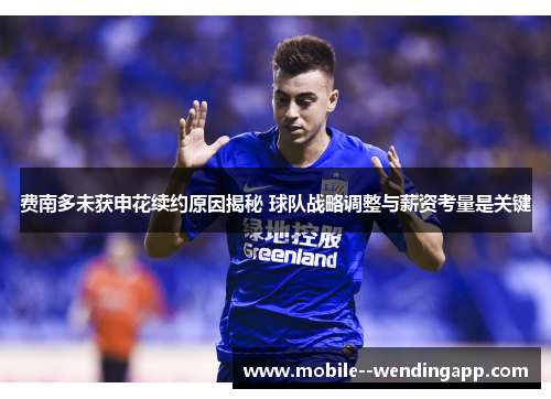 费南多未获申花续约原因揭秘 球队战略调整与薪资考量是关键