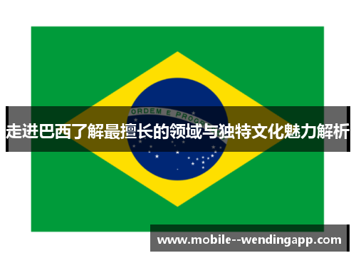 走进巴西了解最擅长的领域与独特文化魅力解析