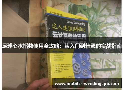 足球心水指数使用全攻略:从入门到精通的实战指南 足球心水指数使用全攻略:从入门到精通的实战指南