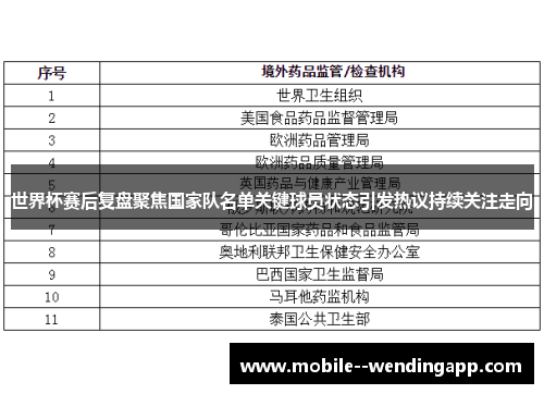 世界杯赛后复盘聚焦国家队名单关键球员状态引发热议持续关注走向