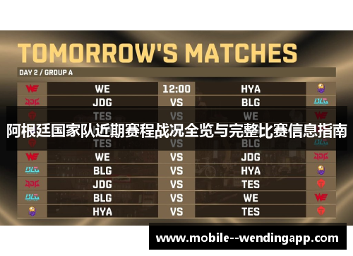 阿根廷国家队近期赛程战况全览与完整比赛信息指南 阿根廷国家队近期赛程战况全览与完整比赛信息指南
