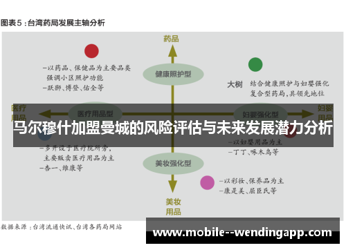 马尔穆什加盟曼城的风险评估与未来发展潜力分析
