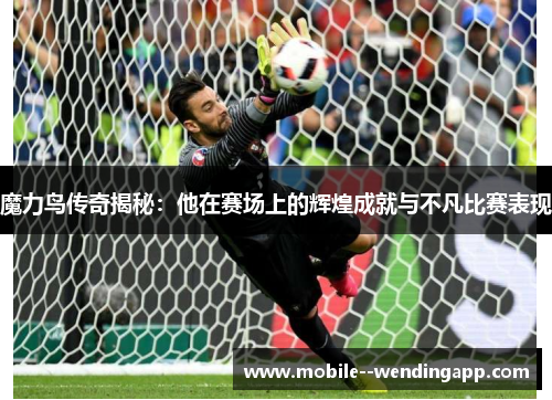 魔力鸟传奇揭秘：他在赛场上的辉煌成就与不凡比赛表现