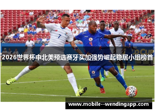 2026世界杯中北美预选赛牙买加强势崛起稳居小组榜首 2026世界杯中北美预选赛牙买加强势崛起稳居小组榜首