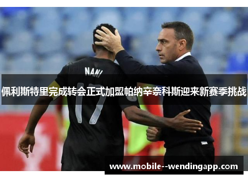 佩利斯特里完成转会正式加盟帕纳辛奈科斯迎来新赛季挑战